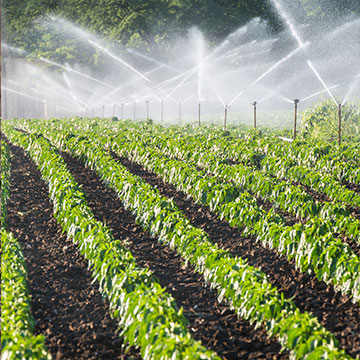 Agricultural irrigation water treatment