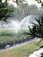 irrigation